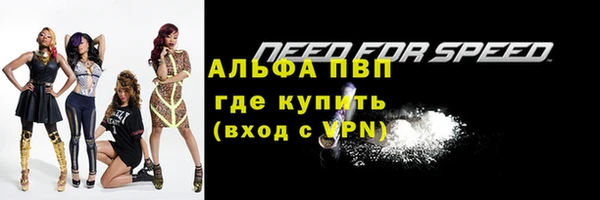 хмурый Белокуриха