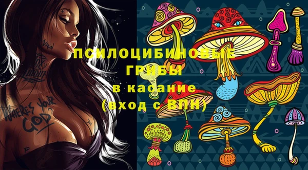 таблы Беломорск