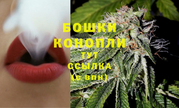 хмурый Белокуриха