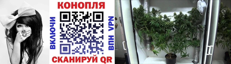 Бошки Шишки планчик Валуйки